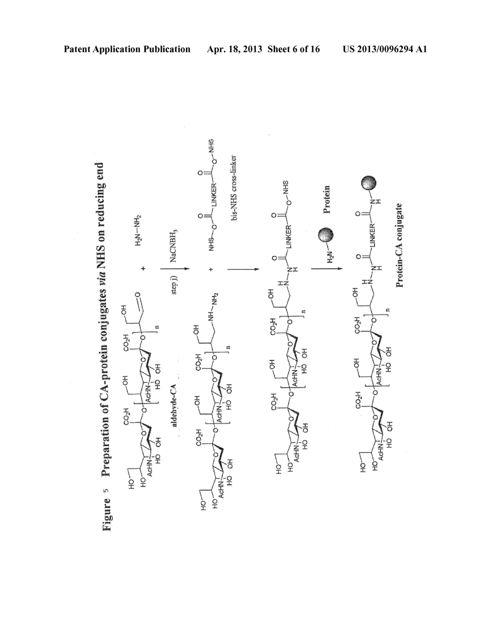 SIALIC ACID DERIVATIVES - diagram, schematic, and image 07