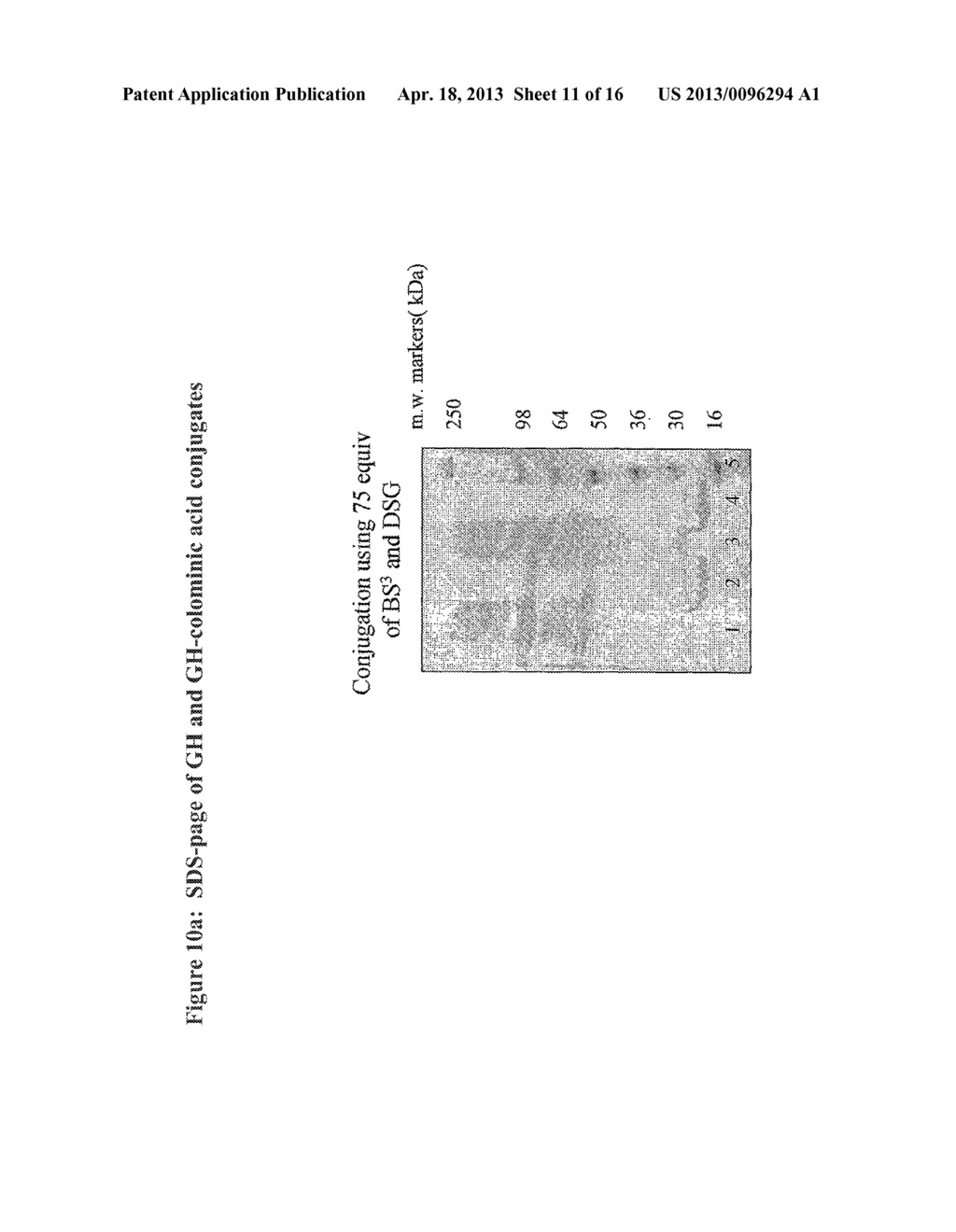 SIALIC ACID DERIVATIVES - diagram, schematic, and image 12