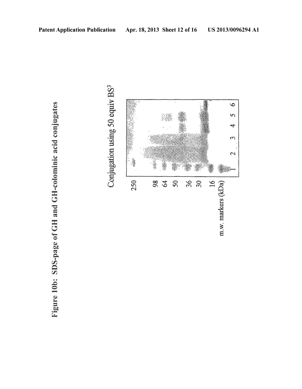 SIALIC ACID DERIVATIVES - diagram, schematic, and image 13