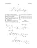 NOVEL CEPHEM DERIVATIVE diagram and image