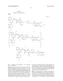 NOVEL CEPHEM DERIVATIVE diagram and image