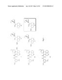 ASYMMETRIC CYCLIZATION PROCESSES USING UNSATURATED NITRO COMPOUNDS diagram and image