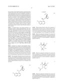 ASYMMETRIC CYCLIZATION PROCESSES USING UNSATURATED NITRO COMPOUNDS diagram and image