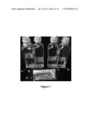 DEPOLYMERIZATION OF POLYLACTIC ACID diagram and image