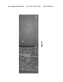 DEPOLYMERIZATION OF POLYLACTIC ACID diagram and image