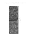 DEPOLYMERIZATION OF POLYLACTIC ACID diagram and image