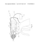 COUPLING FOR SLIP RING ASSEMBLY AND ULTRASONIC TRANSDUCER IN SURGICAL     INSTRUMENT diagram and image