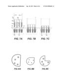 IMPLANTABLE SUBCUTANEOUS ELECTRICAL SOCKET AND PERCUTANEOUS PLUG diagram and image