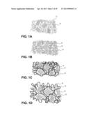 HYDROPHILIC INTERPENETRATING POLYMER NETWORKS DERIVED FROM HYDROPHOBIC     POLYMERS diagram and image