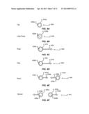 PREDICTIVE MOTION INTERPOLATION diagram and image