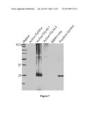 Aphicidal Toxins and Methods diagram and image