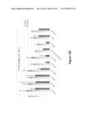 Aphicidal Toxins and Methods diagram and image