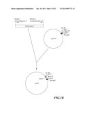 Composition and Method for Prolonging the Shelf Life of Banana by Using     Interfering RNA diagram and image