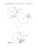 Composition and Method for Prolonging the Shelf Life of Banana by Using     Interfering RNA diagram and image