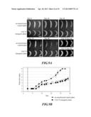 Composition and Method for Prolonging the Shelf Life of Banana by Using     Interfering RNA diagram and image