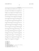 Composition and Method for Prolonging the Shelf Life of Banana by Using     Interfering RNA diagram and image