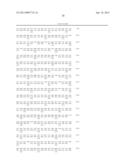 Composition and Method for Prolonging the Shelf Life of Banana by Using     Interfering RNA diagram and image