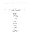 NITROGEN-EFFICIENT MONOCOT PLANTS diagram and image