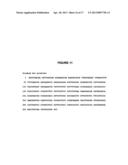 NITROGEN-EFFICIENT MONOCOT PLANTS diagram and image