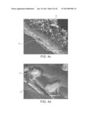 SURFACE TREATING APPLIANCE diagram and image