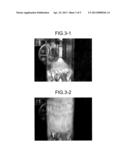 AIR POLLUTION CONTROL SYSTEM AND METHOD diagram and image