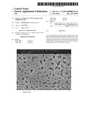 METAL COMPOSITES AND METHODS FOR FORMING SAME diagram and image