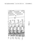 CONTINUOUS PRINT DEVICES AND SYSTEMS diagram and image