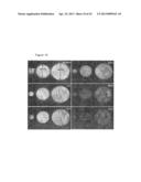 NEAR INFRARED DOPED PHOSPHORS HAVING AN ALKALINE GALLATE MATRIX diagram and image