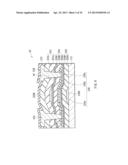 IMAGE PICKUP UNIT AND IMAGE PICKUP DISPLAY SYSTEM diagram and image