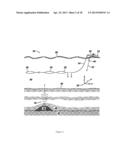 SEISMIC ACQUISITION USING SOLID STREAMERS diagram and image