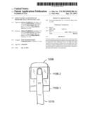 SIMULTANEOUS ACQUISITION OF BIOMETRIC DATA AND NUCLEIC ACID diagram and image