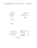 SIMULTANEOUS ACQUISITION OF BIOMETRIC DATA AND NUCLEIC ACID diagram and image