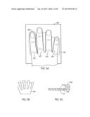 SIMULTANEOUS ACQUISITION OF BIOMETRIC DATA AND NUCLEIC ACID diagram and image