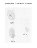 SYSTEMS AND METHODS FOR RIDGE-BASED FINGERPRINT ANALYSIS diagram and image