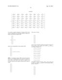 IDENTIFYING AND EVALUATING POSSIBLE HORIZONTAL AND VERTICAL LINES     INTERSECTING POTENTIAL PALLET FEATURES diagram and image