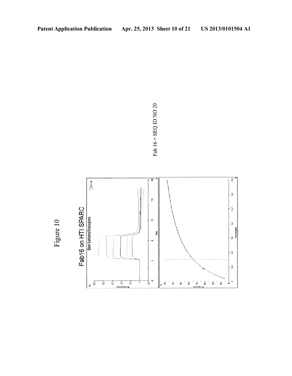 SPARC BINDING ANTIBODIES AND USES THEREOF - diagram, schematic, and image 11