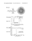 CROSSLINKED POLYNUCLEOTIDE STRUCTURE diagram and image