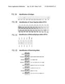 METHODS FOR DETECTING A MYCOBACTERIUM TUBERCULOSIS INFECTION diagram and image