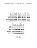 ALDEHYDE DEHYDROGENASE INHIBITORS AS NOVEL DEPIGMENTING AGENTS diagram and image