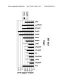 ALDEHYDE DEHYDROGENASE INHIBITORS AS NOVEL DEPIGMENTING AGENTS diagram and image