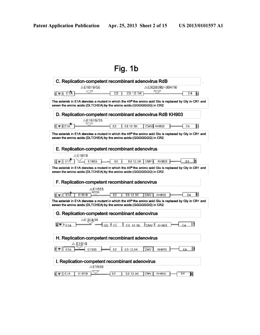 Recombinant Adenovirus Having Anti-Angiogenesis Activity - diagram, schematic, and image 03