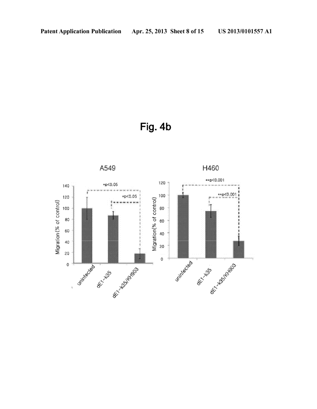 Recombinant Adenovirus Having Anti-Angiogenesis Activity - diagram, schematic, and image 09