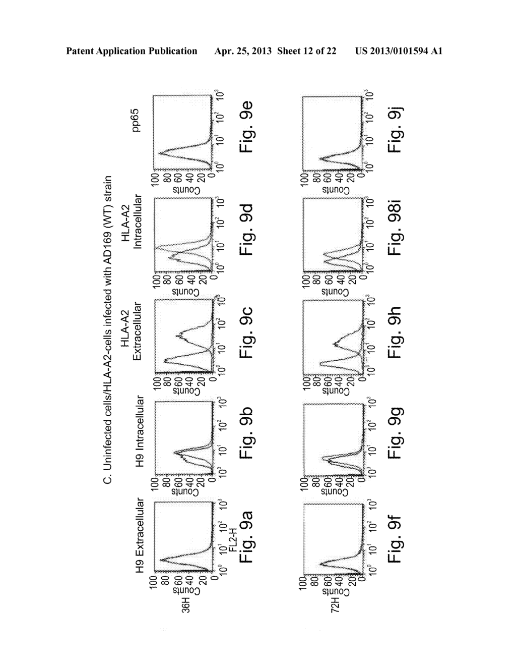 ANTIBODIES AND THEIR USES FOR DIAGNOSIS AND TREATMENT OF CYTOMEGALOVIRUS     INFECTION AND ASSOCIATED DISEASES - diagram, schematic, and image 13