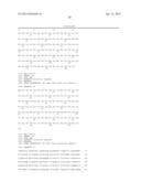 HUMAN CYTOMEGALOVIRUS NEUTRALISING ANTIBODIES AND USE THEREOF diagram and image