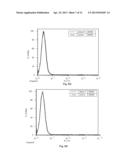 Receptor Tyrosine Kinase-Like Orphan Receptor 1 (ROR1) Single Chain FV     Antibody Fragment Conjugates and Methods of Use Thereof diagram and image