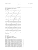 Receptor Tyrosine Kinase-Like Orphan Receptor 1 (ROR1) Single Chain FV     Antibody Fragment Conjugates and Methods of Use Thereof diagram and image