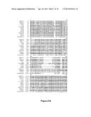 PROTECTIVE PROTEINS OF S. AGALACTIAE, COMBINATIONS THEREOF AND METHODS OF     USING THE SAME diagram and image