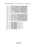 PROTECTIVE PROTEINS OF S. AGALACTIAE, COMBINATIONS THEREOF AND METHODS OF     USING THE SAME diagram and image