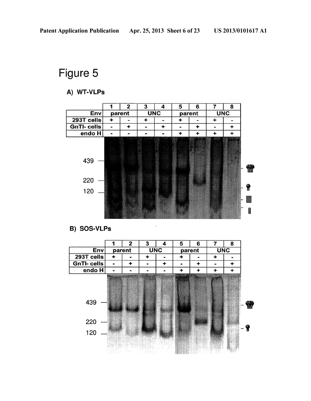 ENV TRIMER IMMUNOGENS - diagram, schematic, and image 07