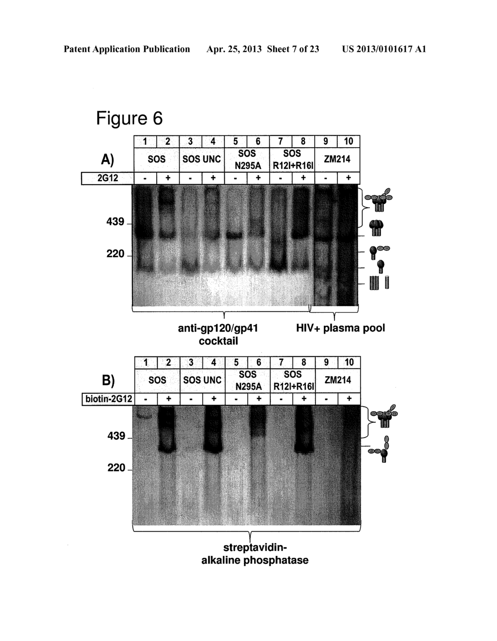 ENV TRIMER IMMUNOGENS - diagram, schematic, and image 08